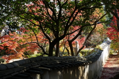 DSC05003