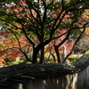 DSC05003
