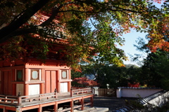 宝福寺紅葉202304