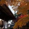DSC04967