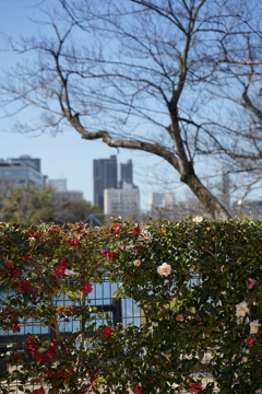 DSC05183