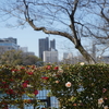 DSC05183