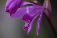 DSC05227