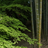 DSC03681