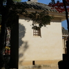 DSC05020