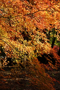 DSC04881