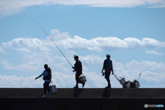 釣り日和