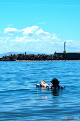 夏も楽し