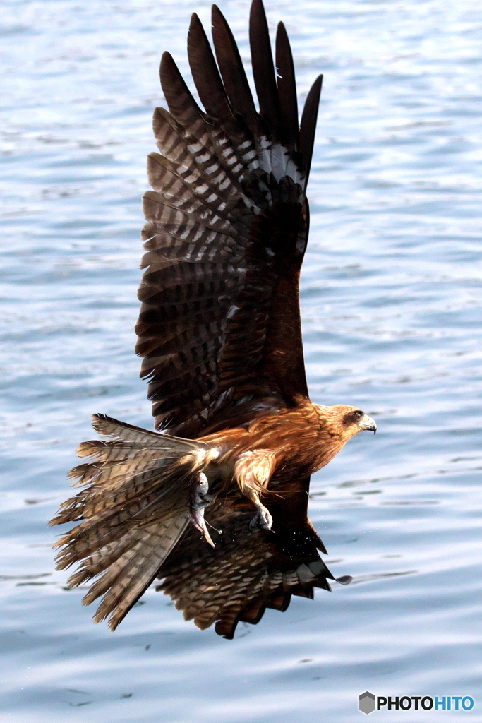 小さいけどいいか