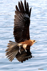 小さいけどいいか 小さいけどいいか