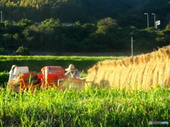 傾く日の中で 傾く日の中で