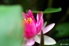 季節外れ 季節外れ