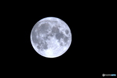 満月