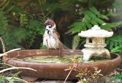 冷たかった 冷たかった