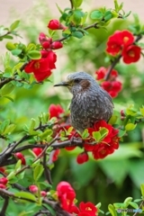 嫌われ者 嫌われ者