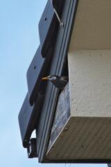 こんにちは こんにちは