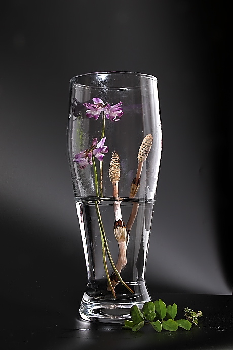 グラスの中の春