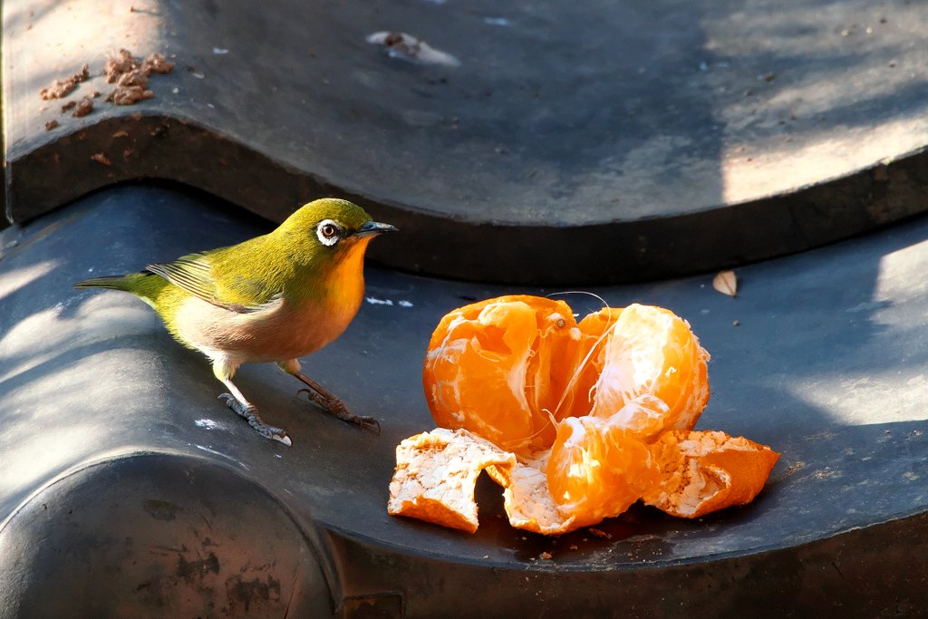 朝食