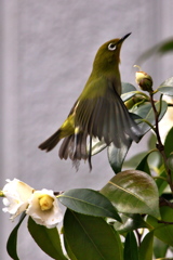 空までジャンプ 空までジャンプ
