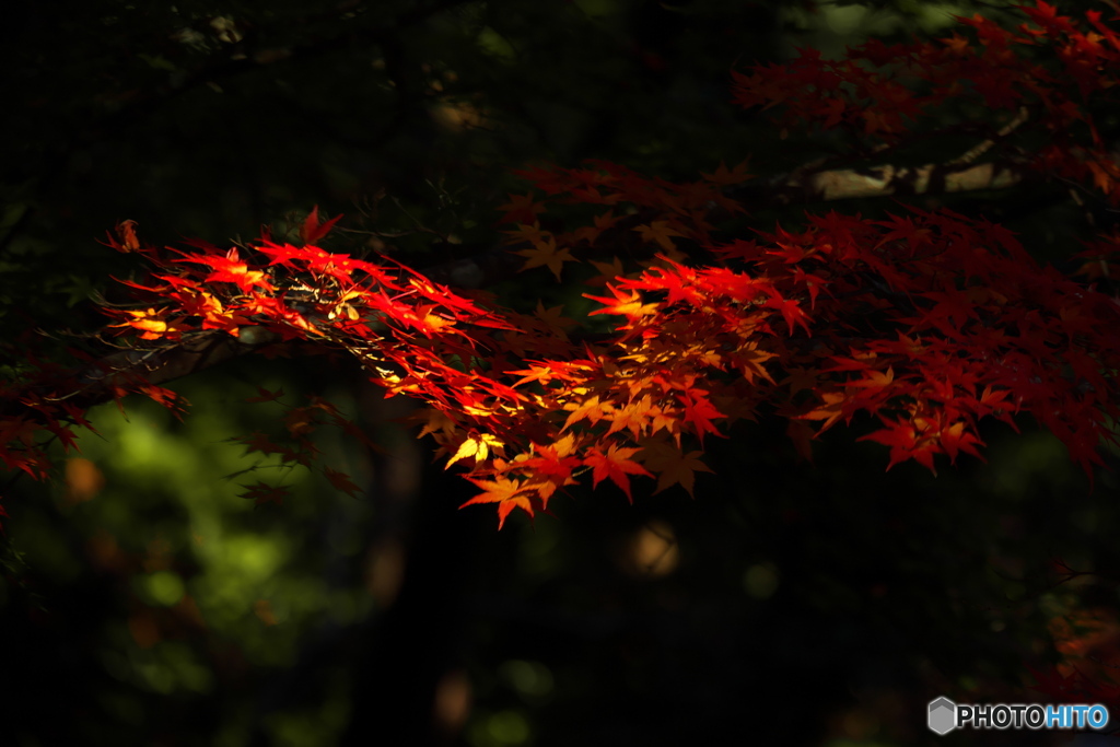 一条の光の中に