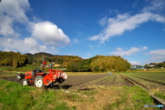 冬が来る前に 冬が来る前に