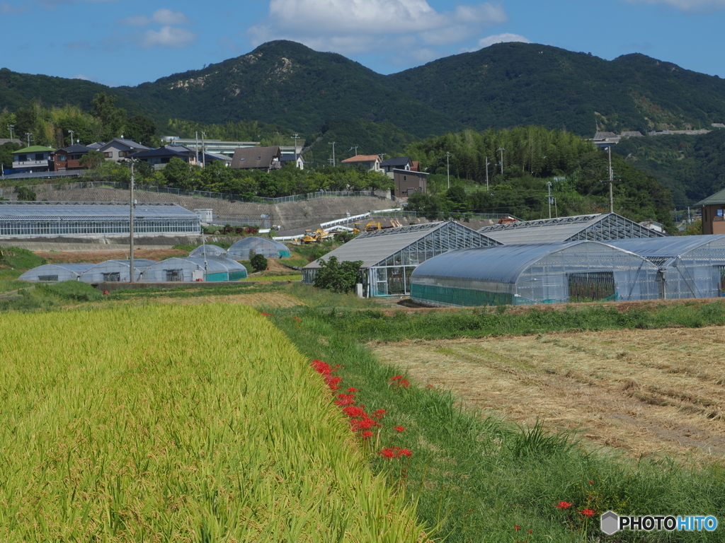 温室のある風景