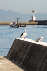 お出迎え お出迎え