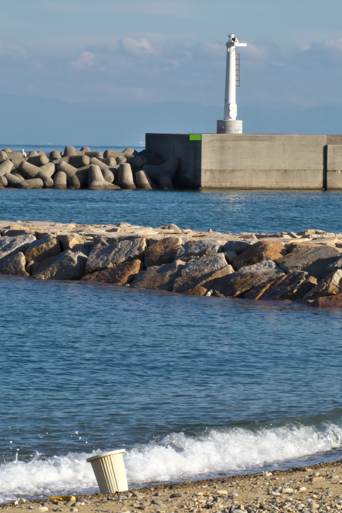 何処から来たの