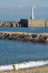 何処から来たの 何処から来たの