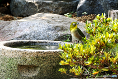 気配