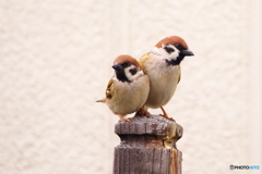 足を踏むな