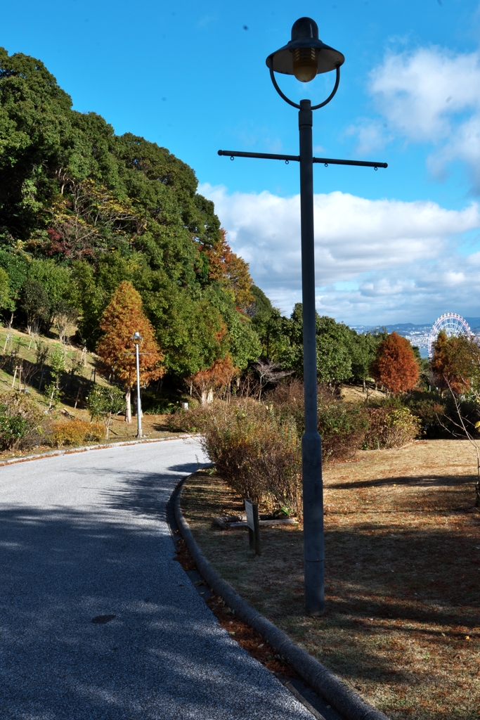 街頭のある公園