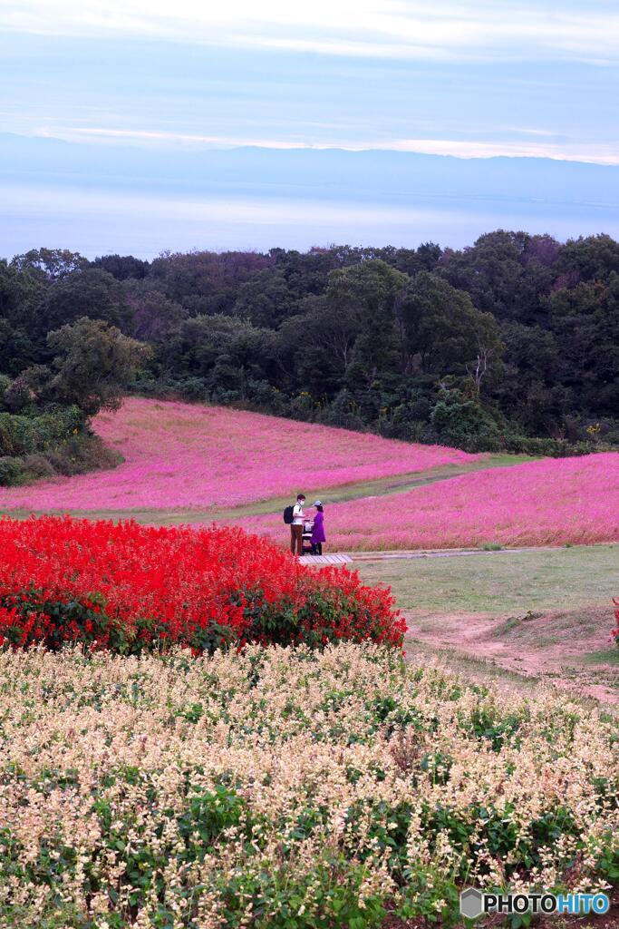 高原の真ん中で