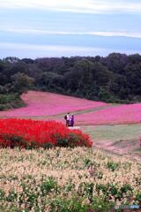 高原の真ん中で 高原の真ん中で