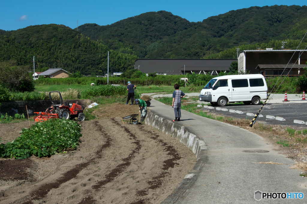 家庭菜園