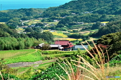 島の秋