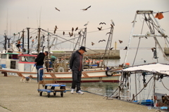 何が取れたのかな 何が取れたのかな