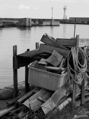 波止場から 波止場から