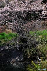 ため池のそばに