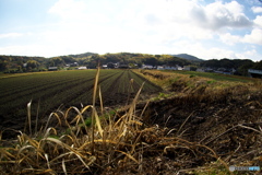 冬が来る前に