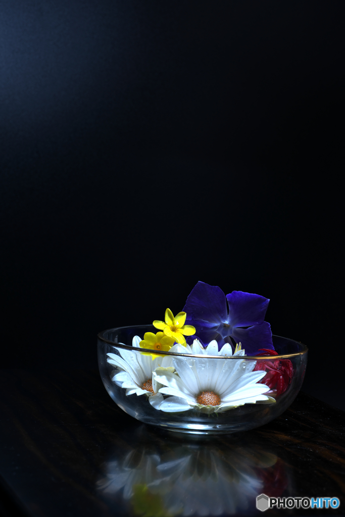花遊び
