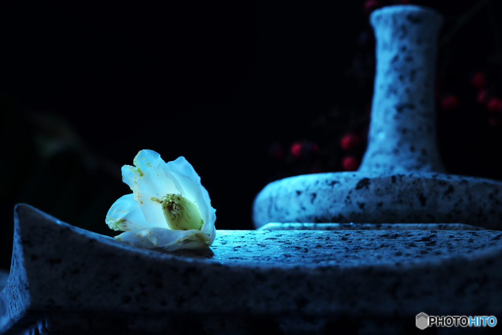 落花