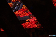 隙間の向こうに春景を見た