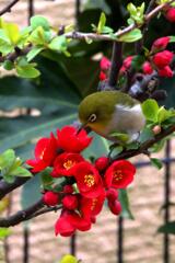 気づかないで 気づかないで