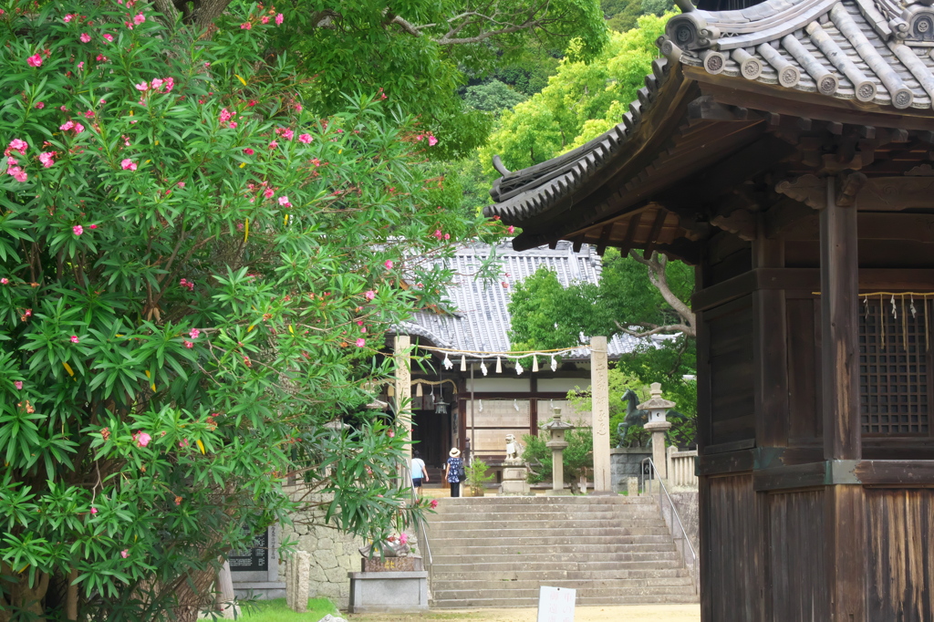 神社にて