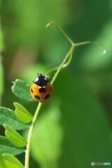 もう少し もう少し