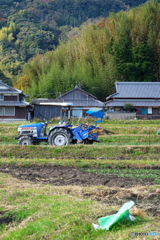 青い苗植え機 青い苗植え機