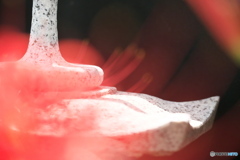 彼岸花 灯篭 彼岸花 灯篭