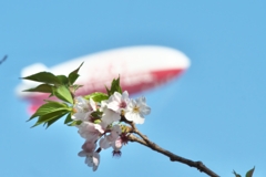 それは突然やってきた それは突然やってきた