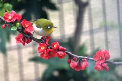 ご機嫌斜め ご機嫌斜め